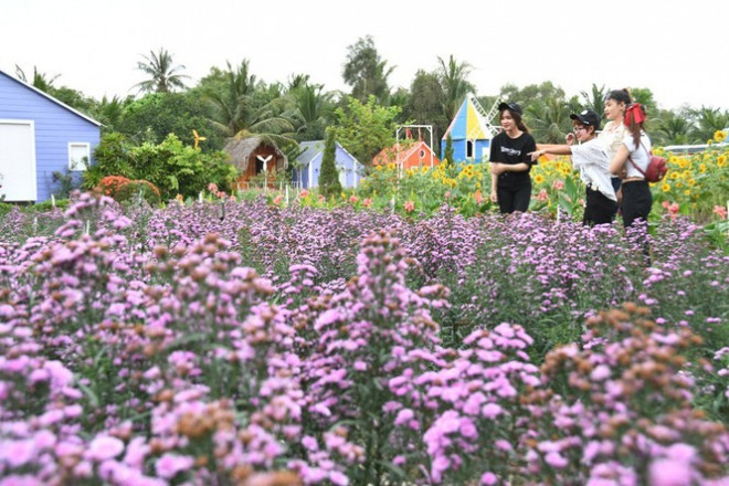 Địa điểm check-in Tết Dương lịch 2021: “Vườn hoa Đà Lạt” giữa lòng Sài Gòn hút giới trẻ - 1