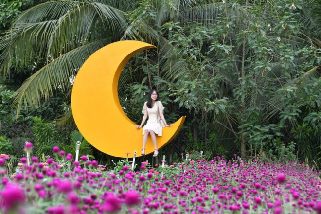 Địa điểm check-in Tết Dương lịch 2021: “Vườn hoa Đà Lạt” giữa lòng Sài Gòn hút giới trẻ - 10