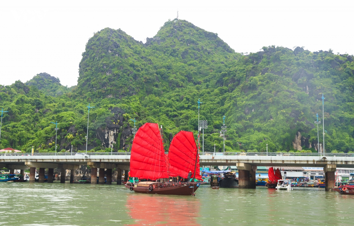 lenh denh cung canh buom do thuyen ba vach tren vinh ha long hinh anh 5